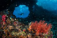 Boo Windows. Indonesia.