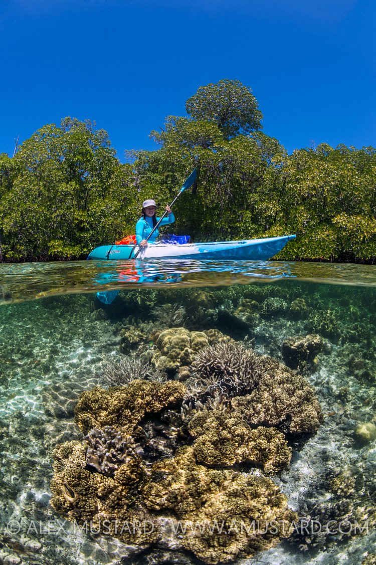 Kayaking Over Reefs. Indonesia