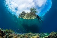Snorkeller Over Reef. Indonesia