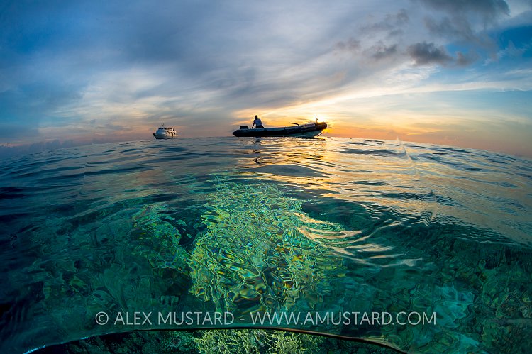 Diveboats At Sunset. Philippines.