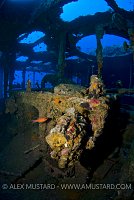 Wreck of the KT-12. Orosei, Sardinia, Italy
