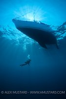 Diver And Yacht. Sardinia, Italy.