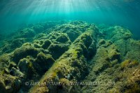 Shallow Scene. Sardinia, Italy.