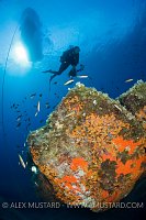 Colourful Scene. Sardinia, Italy.