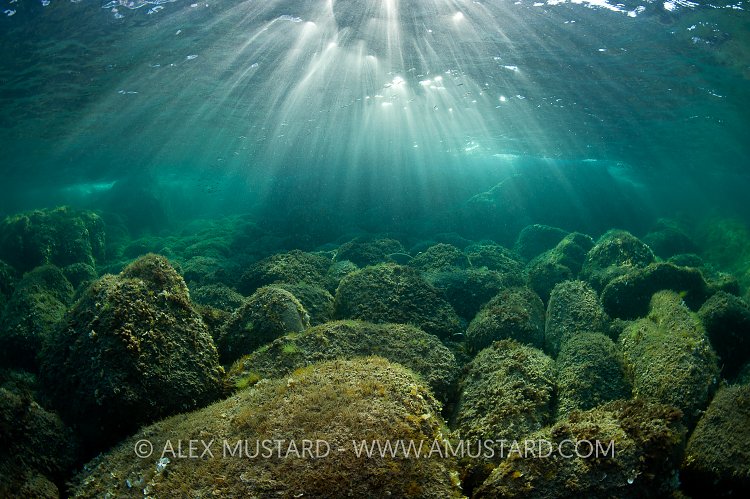 Sunrays In Shallows. Sardinia, Italy.
