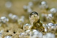 Bubble World. Sardinia.