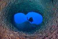 Swimming Through The Heart. Sardinia, Italy.