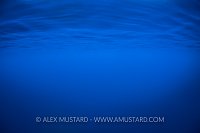 Blue Water. Sardinia, Italy