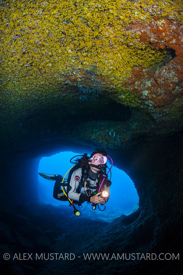 Diver In Nereo's Cave. Sardinia, Italy