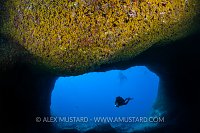 Diver In Nereo's Cave. Sardinia, Italy