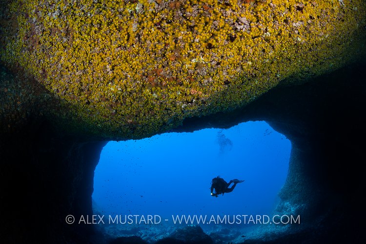 Diver In Nereo's Cave. Sardinia, Italy