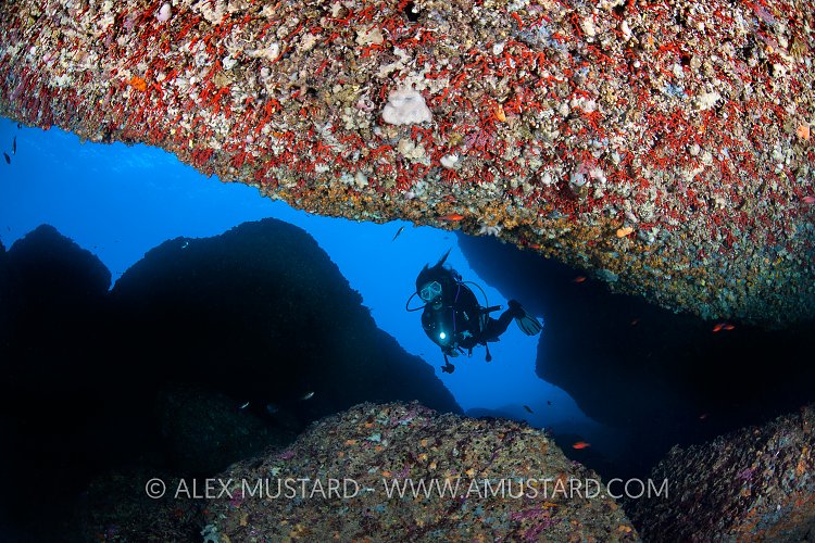 Red Coral Cave. Sardinia, Italy