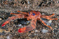 Squatting In Nereo's Cave. Sardinia, Italy.