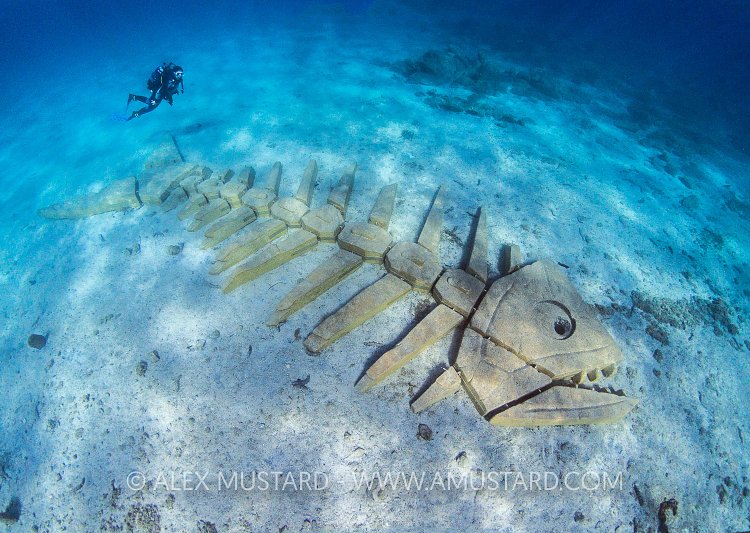 Skeleton Fish. Sardinia, Italy.
