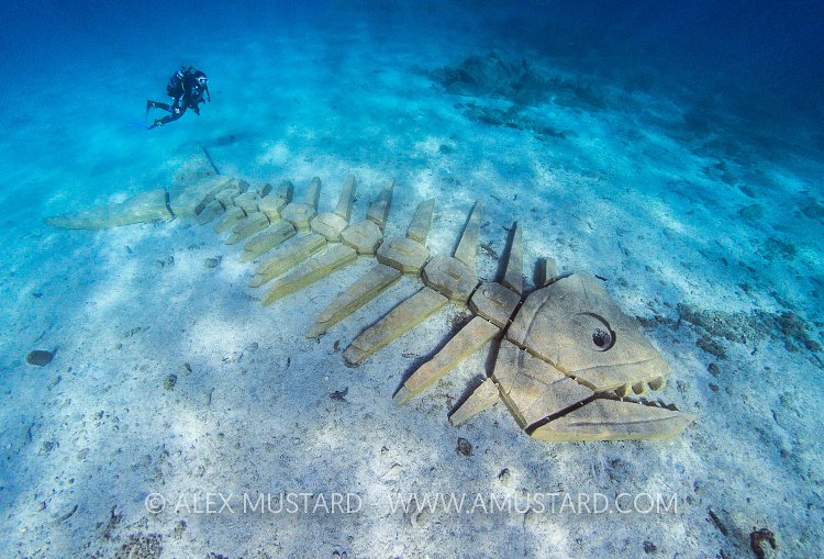 Skeleton Fish. Sardinia, Italy.