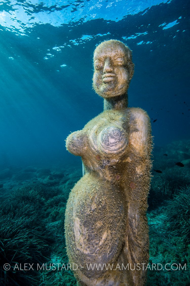 MuMart Exhibition. Sardinia, Italy.