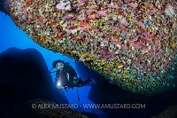 Red Coral Cave. Italy