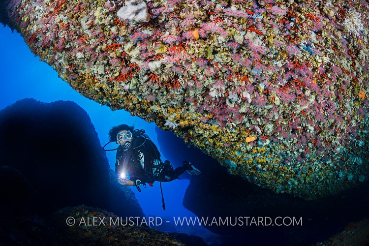 Red Coral Cave. Italy