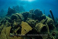 Krisso Wreck Artificial Reef. Italy