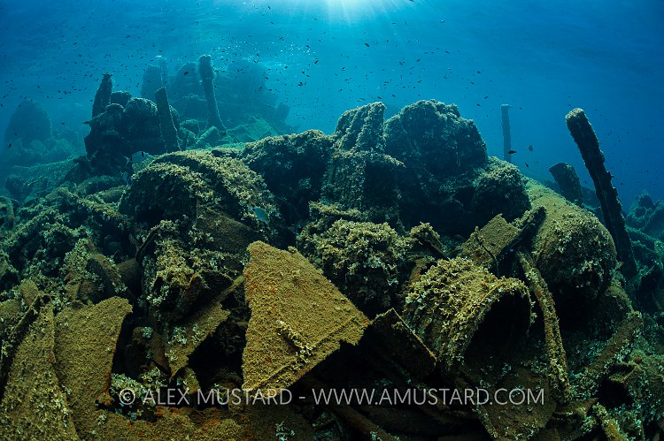 Krisso Wreck Artificial Reef. Italy