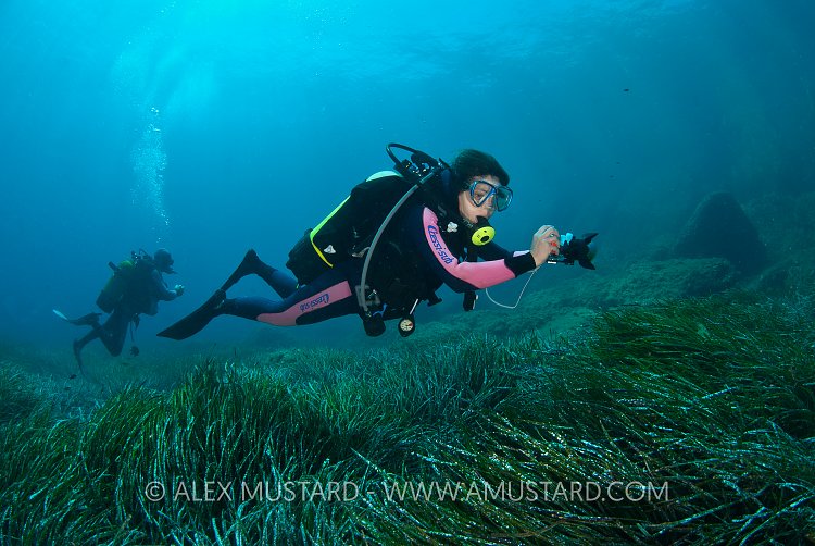 Divers over seagrass, Italy.