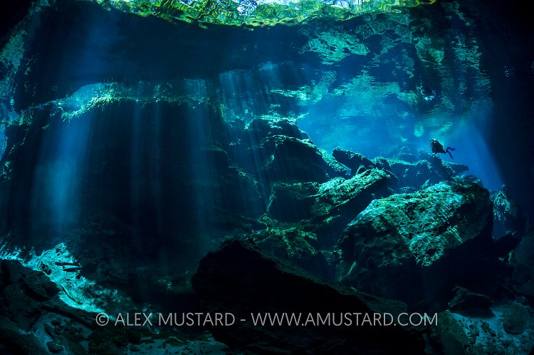 Diver In Cenote. Mexico.