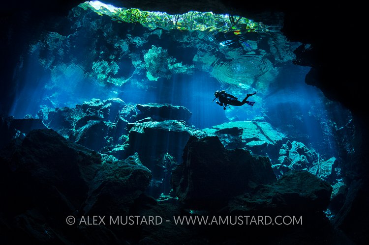 Diver In Cenote. Mexico.