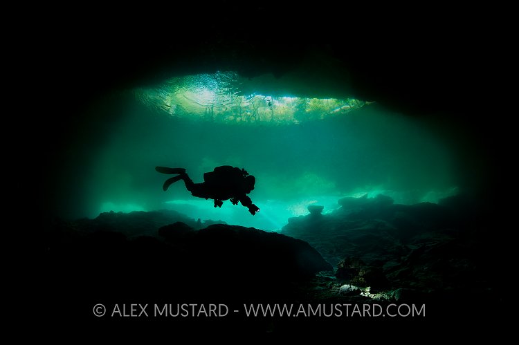 Diver In Cenote. Mexico