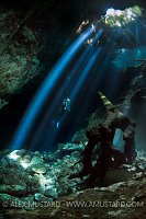 Diver In Cenote. Mexico