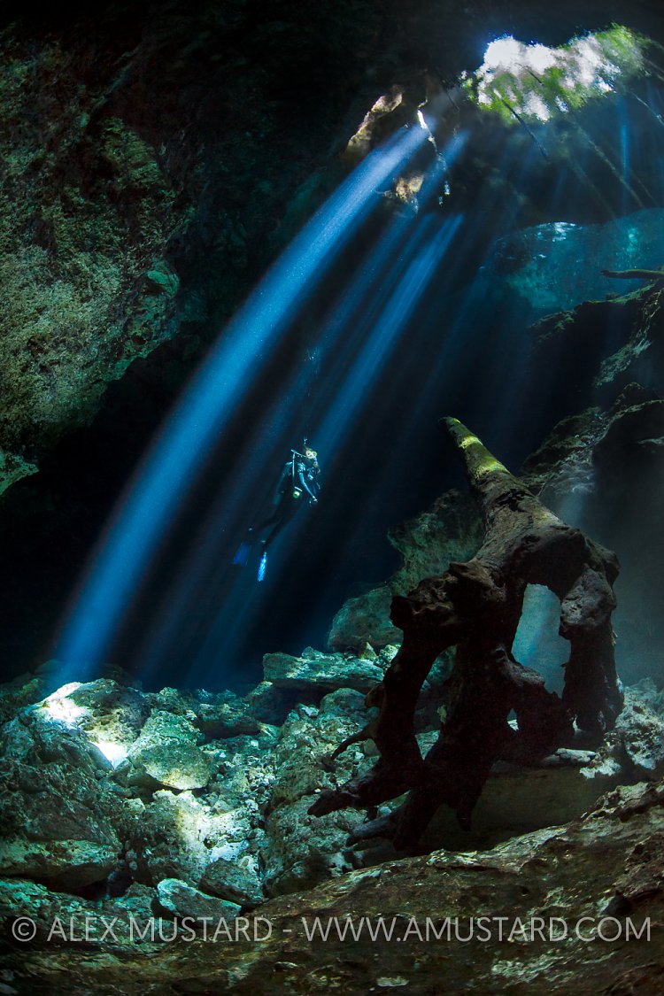 Diver In Cenote. Mexico