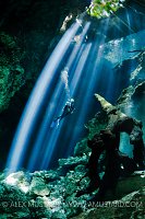 Diver In Light Beams In Cenote. Mexico