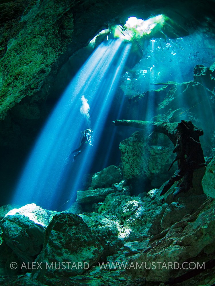 Diver In Cenote. Mexico