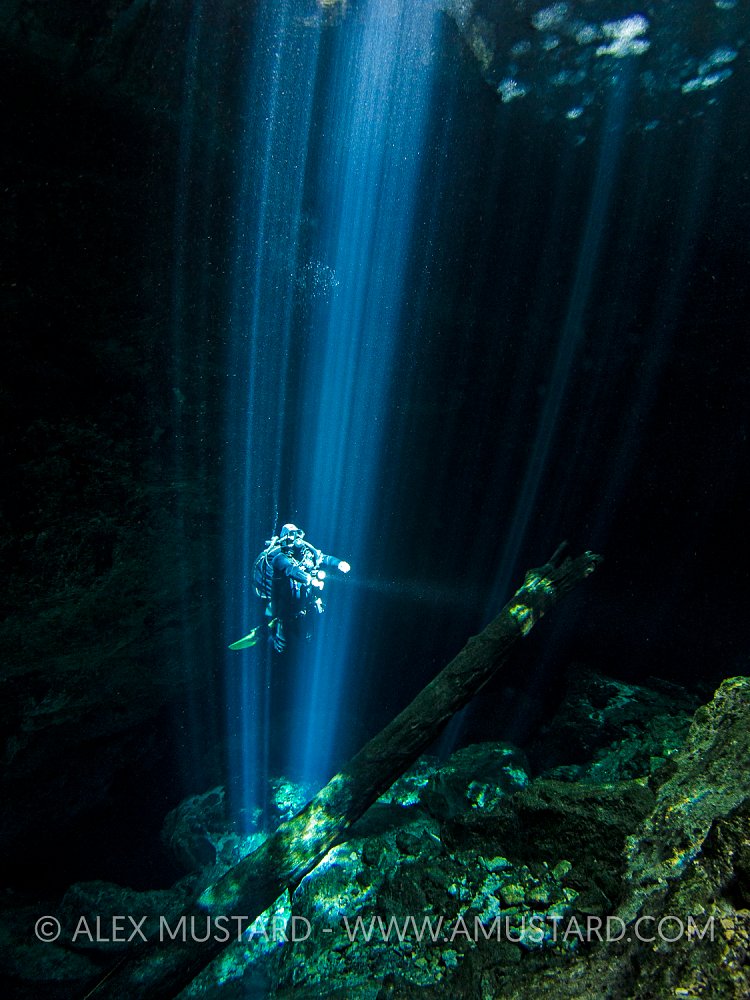 Diver In Beams. Mexico.