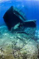 Giannis D Wreck. Egypt