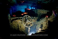 Steering Wheel. Thistlegorm. Egypt