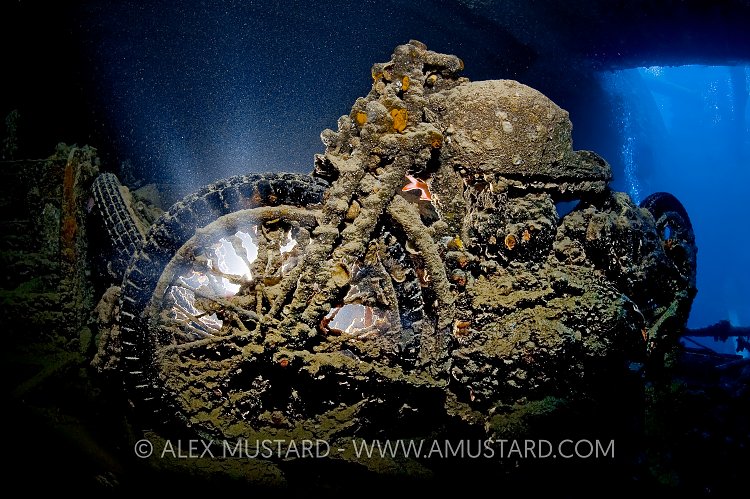 BSA Motorbike. Egypt