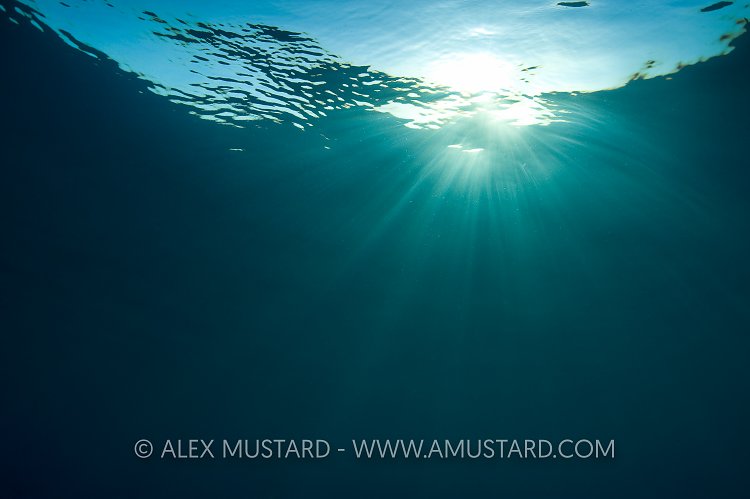 Sunbeams in the Sea. Egypt