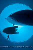 Boats and snorkeller from below. Red Sea.
