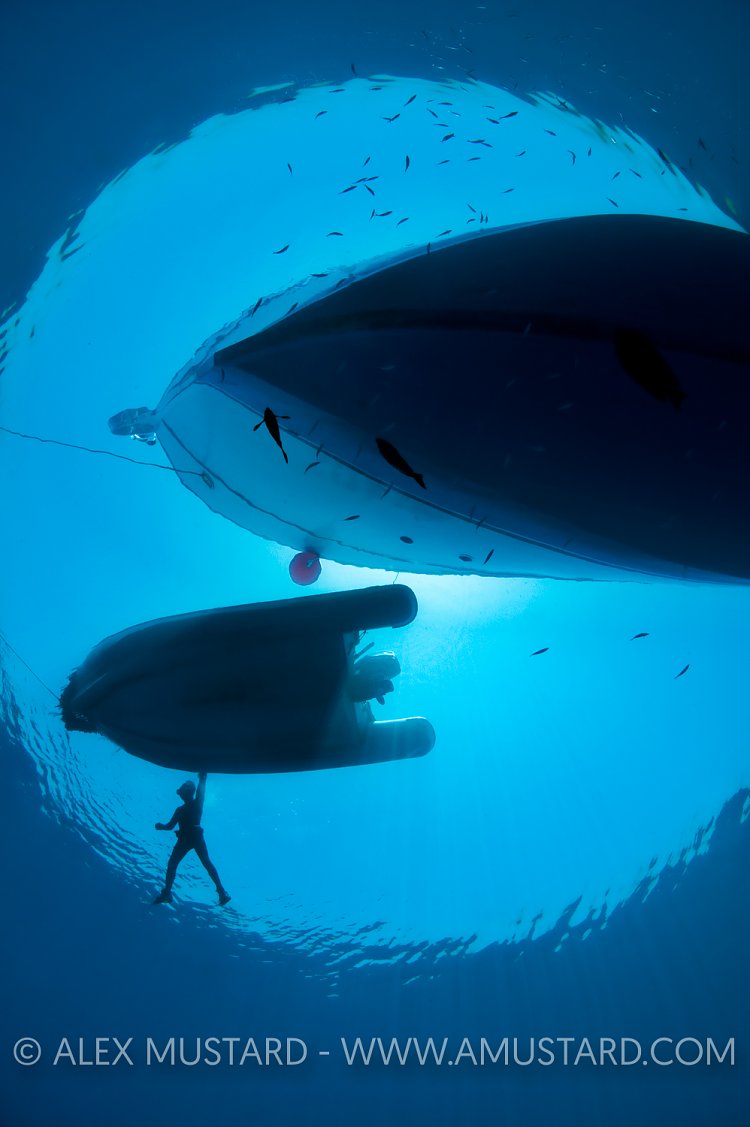 Boats and snorkeller from below. Red Sea.