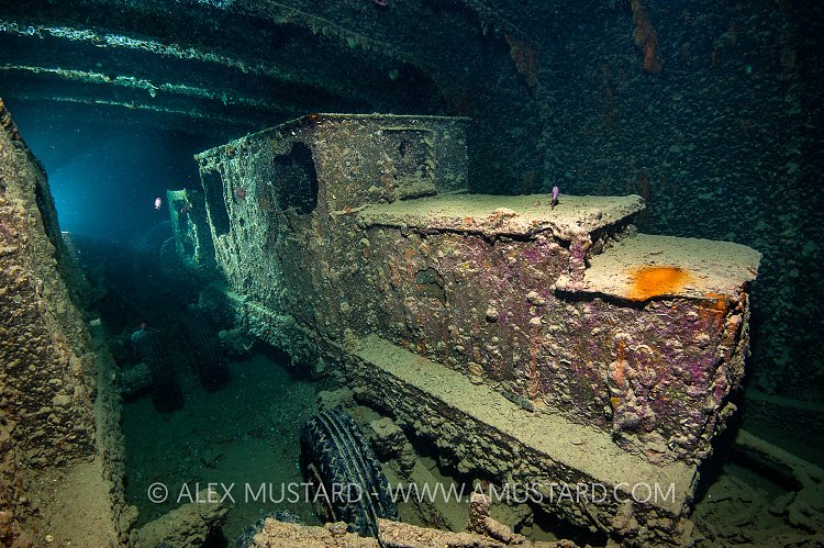 Pundit Light. Thistlegorm, Egypt.
