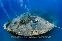 Thistlegorm Bow. Egypt.