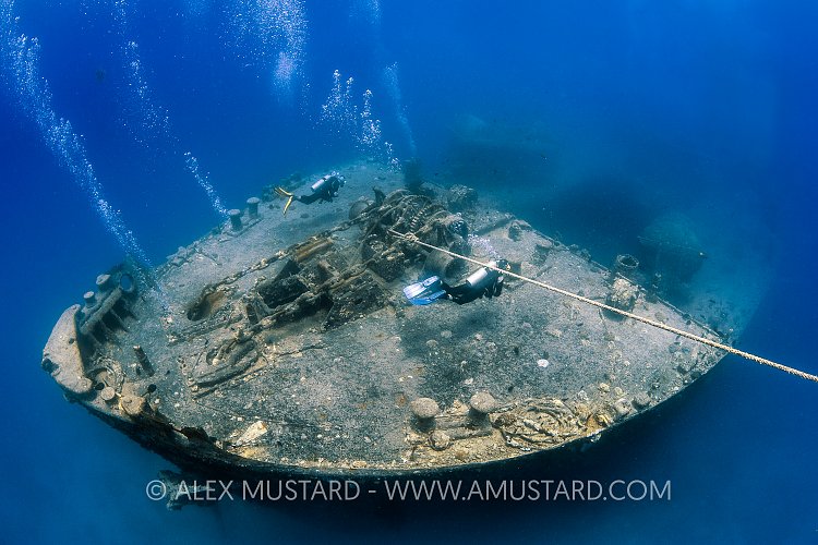 Thistlegorm Bow. Egypt.