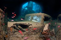 Truck inside the hold of the Thistlegorm.