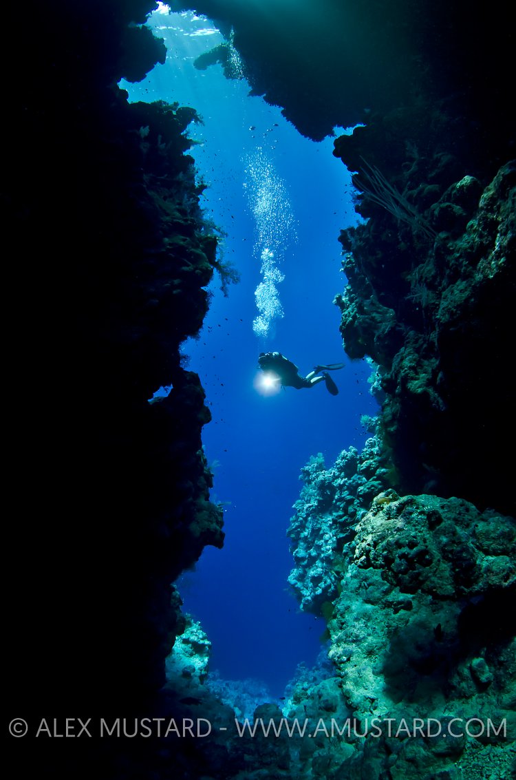 Diver Explores Cave. Egypt.