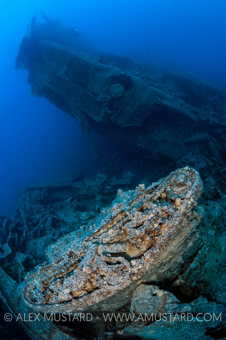Universal Carrier, Thistlegorm, Egypt.
