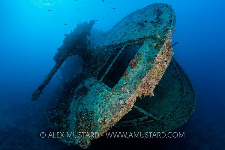 Thistlegorm Gun. Egypt