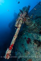 Thistlegorm Gun. Egypt