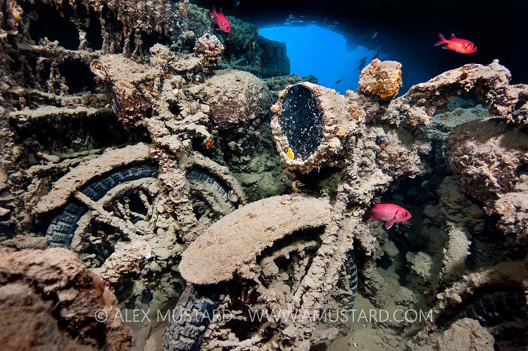 Motorbikes On Thistlegorm Wreck. Red Sea.