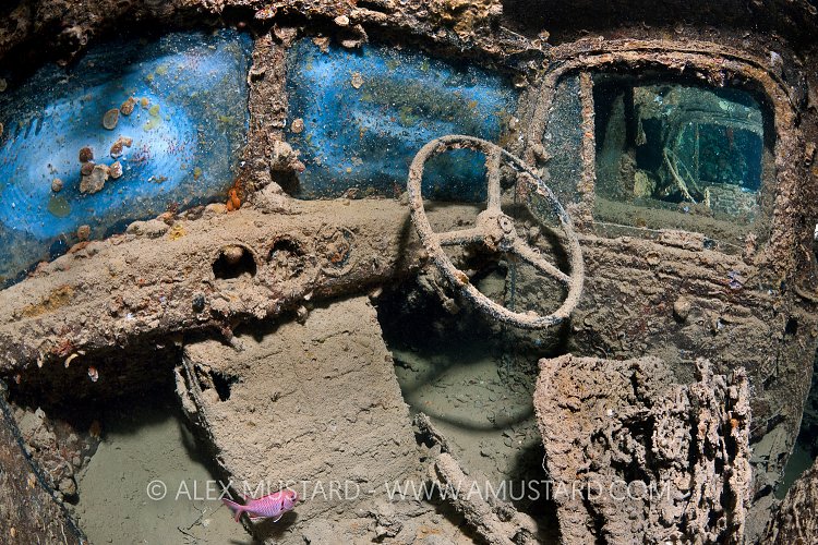 Inside Trucks, Thistlegorm, Red Sea.
