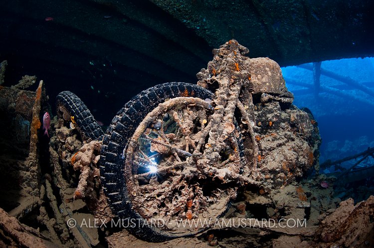 Motorbike On Thistlegorm. Egypt